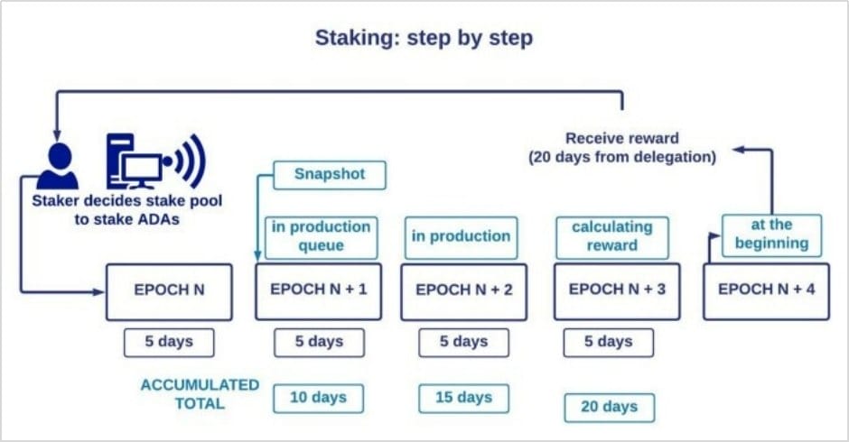Understanding Epochs: Key to Crypto Blockchain Efficiency