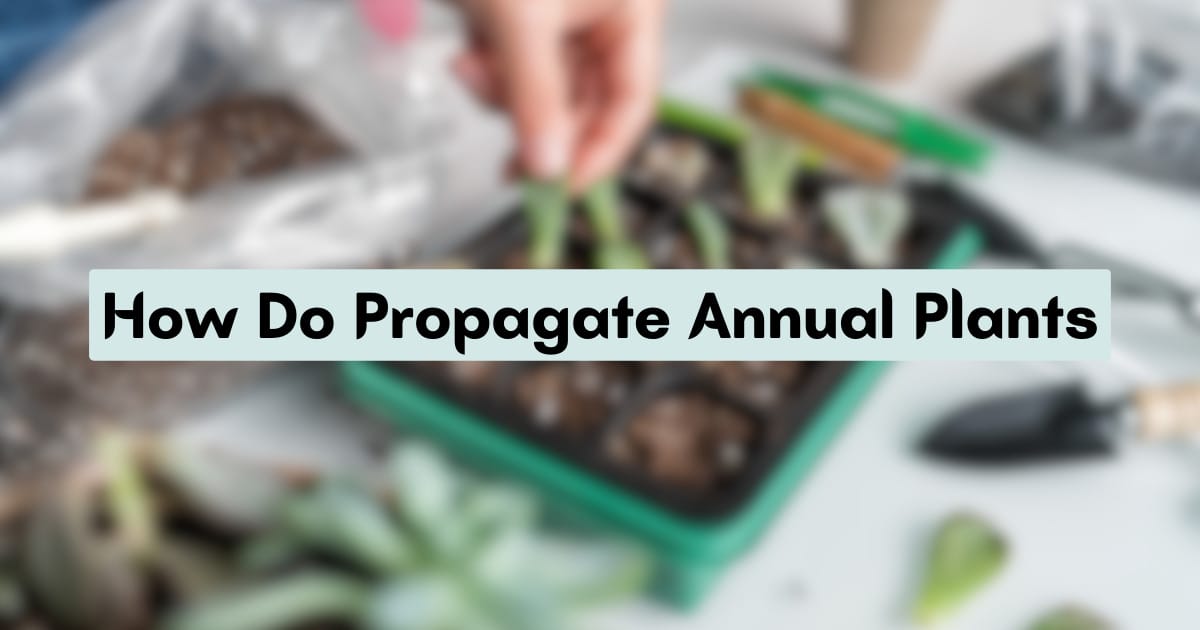 Master Propagation: Grow Annual Plants from Seeds & Cuttings