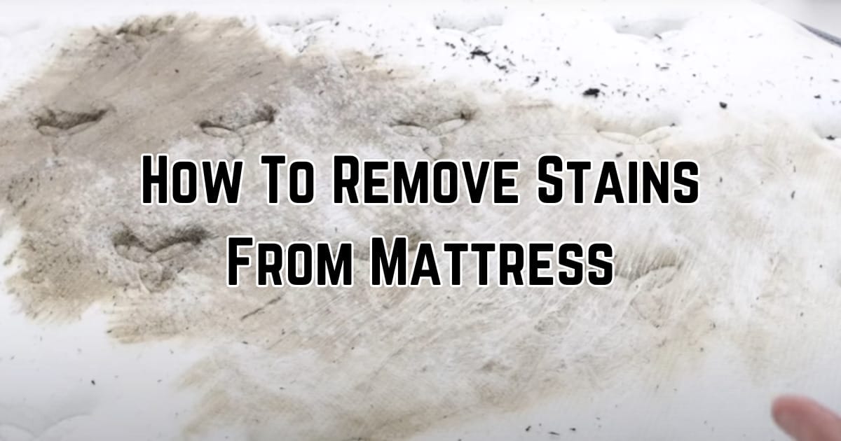 Effective Mattress Stain Removal: Tips for a Fresh Bed