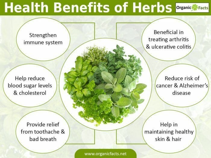 Unlocking Health: Benefits of Herbal Remedies Explained