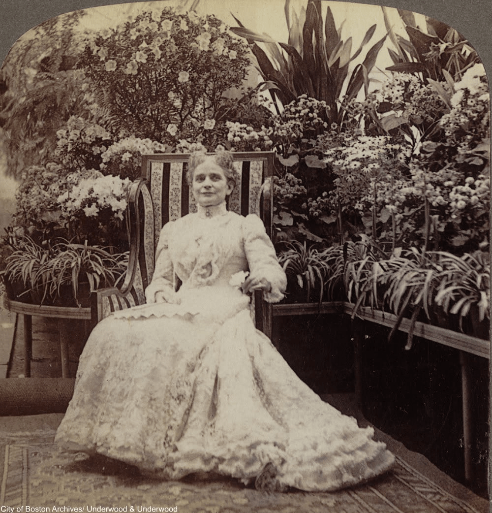 The Historical Significance and Uses of Houseplants