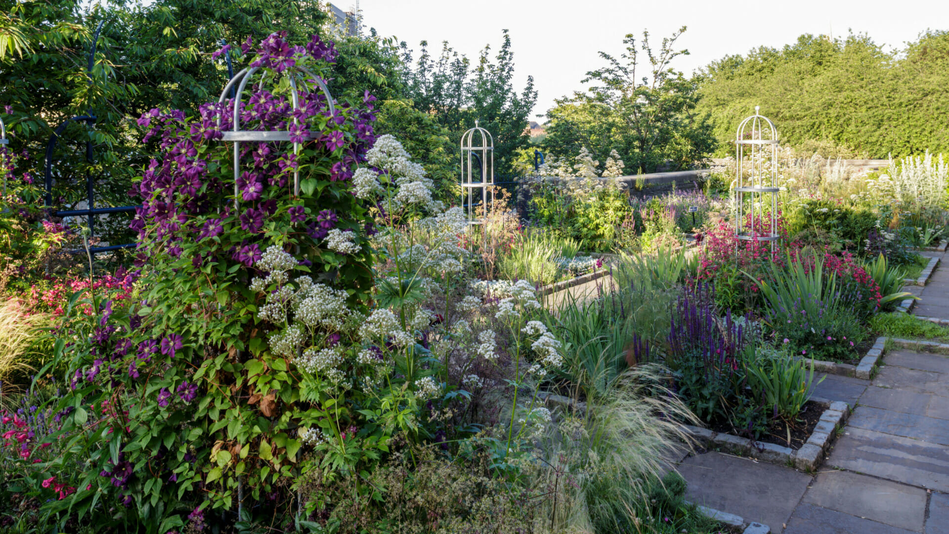 Design a Perennial Sensory Garden: Step-by-Step Guide