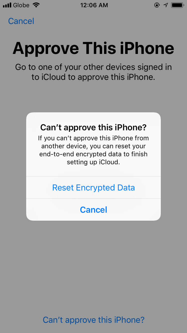 Understanding the Impact of Resetting Encrypted Data