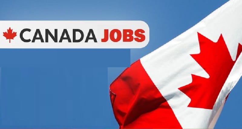 Top Canadian Jobs for Foreigners in 2023: A Comprehensive Guide
