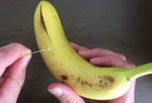 needle into a Banana