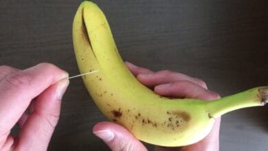 needle into a Banana